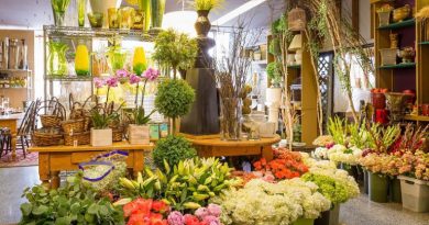 Tiệm cửa hàng shop hoa tươi tại Huyện Côn Đảo uy tín chất lượng tốt nhất